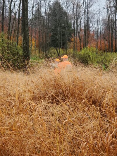 Yellow Dog Hunting Grounds Llc. - Kane, PA