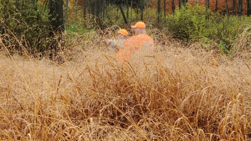 Yellow Dog Hunting Grounds Llc. - Kane, PA