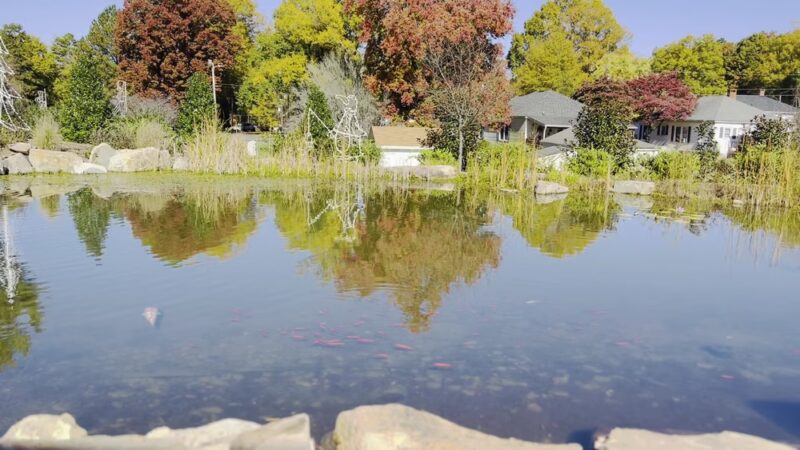 Village Park - Kannapolis, NC