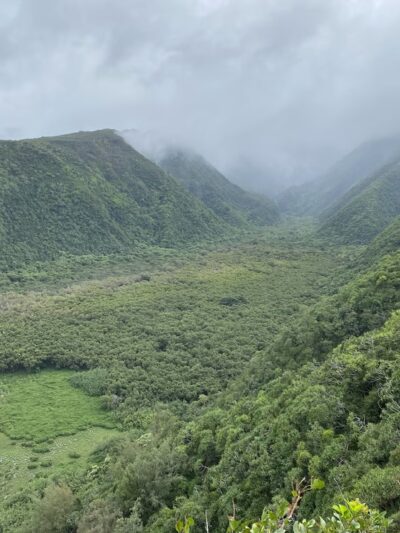 Pololū Valley - Kapaau, HI