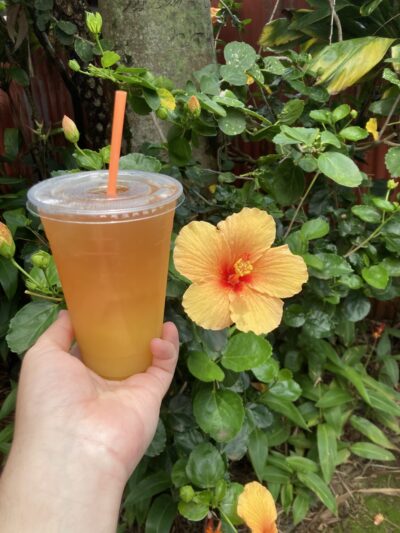 Pomaika'i Cafe - Kapaau, HI