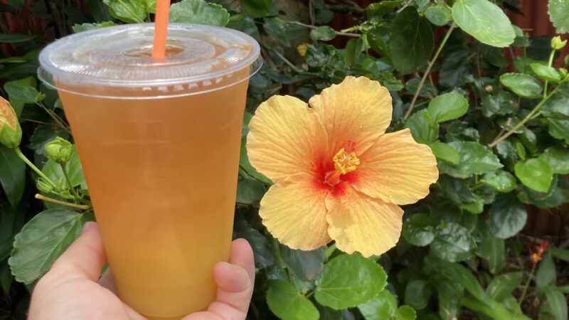 Pomaika'i Cafe - Kapaau, HI