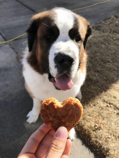 Kat's K9s, LLC - ,