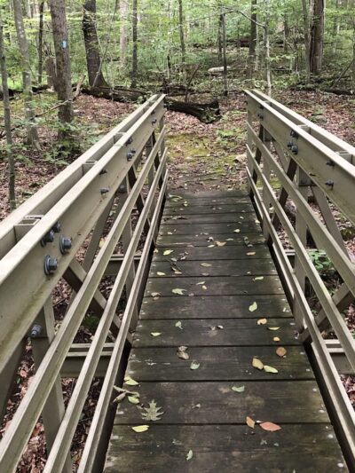 Angle Fly Preserve - Katonah, NY