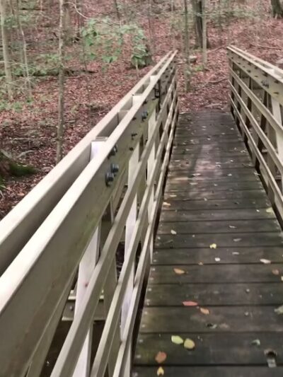 Angle Fly Preserve - Katonah, NY