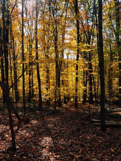 Angle Fly Preserve - Katonah, NY