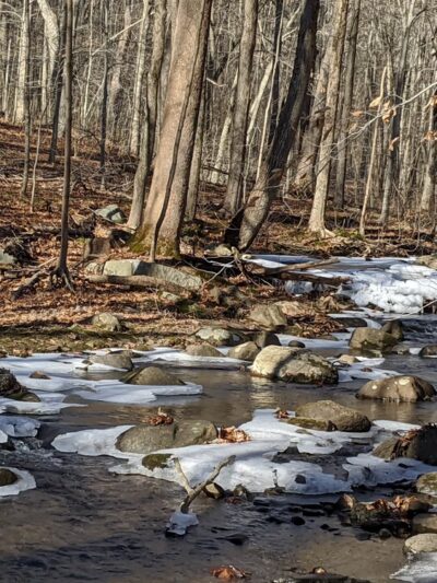Angle Fly Preserve - Katonah, NY