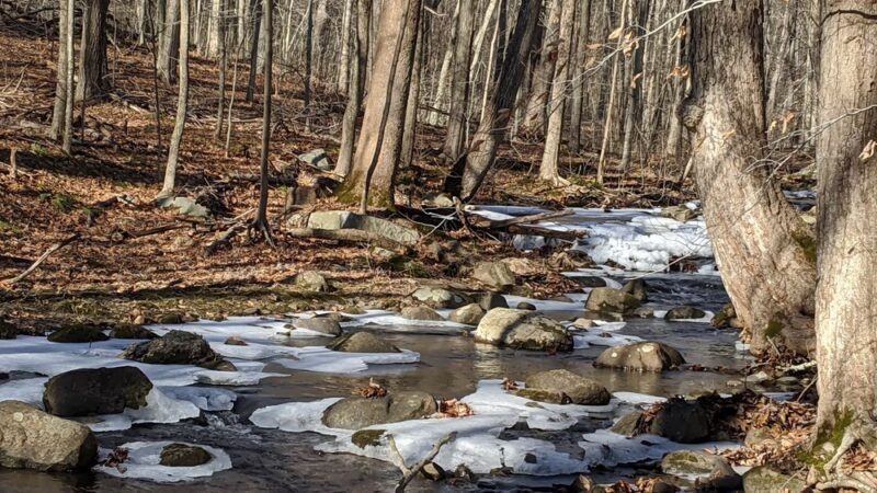 Angle Fly Preserve - Katonah, NY
