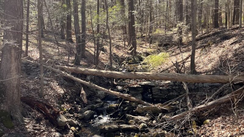 Cross River Outlet Recreation Area - Katonah, NY