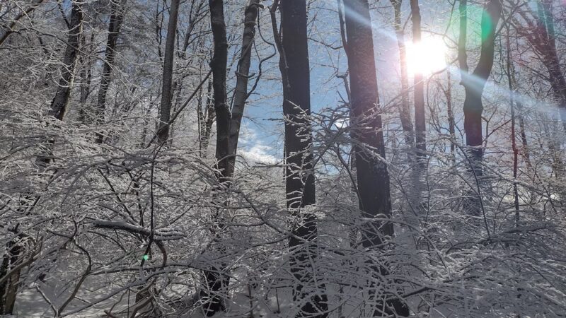 Cross River Outlet Recreation Area - Katonah, NY