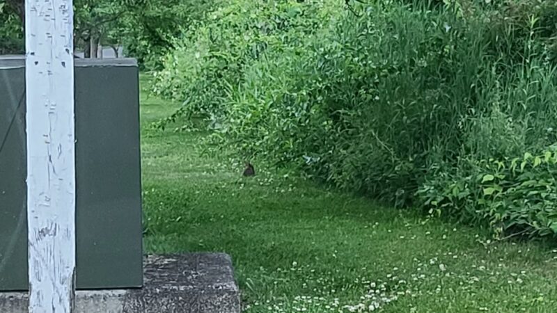 Fox Valley Park - Katonah, NY