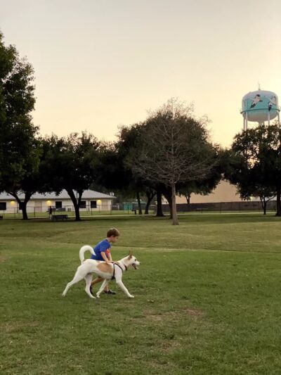 City of Katy Off-Leash Dog Park - Katy, TX