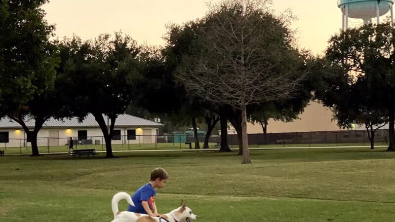 City of Katy Off-Leash Dog Park - Katy, TX