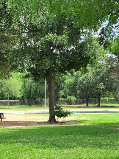 City of Katy Off-Leash Dog Park - Katy, TX