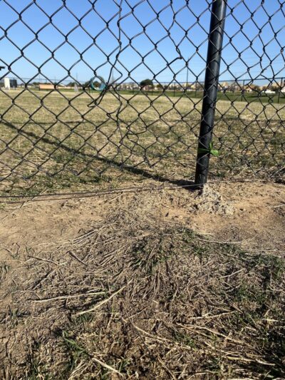 Dog Park at Tamarron - Katy, TX