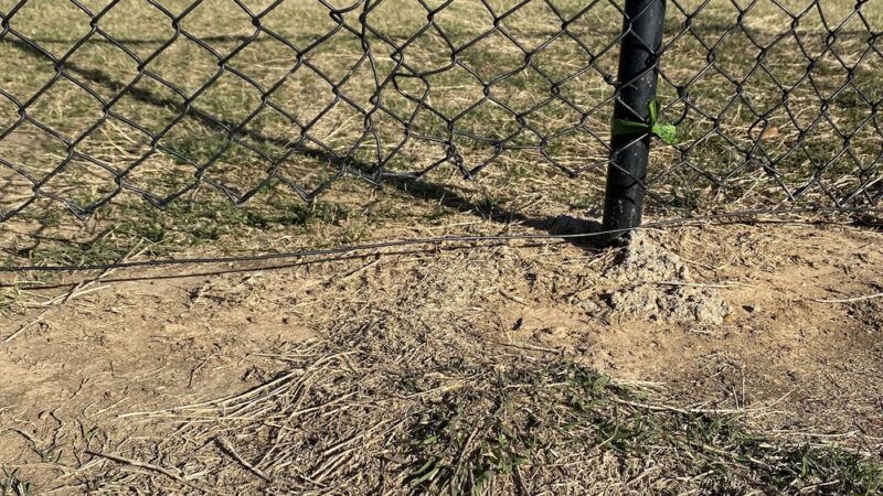 Dog Park at Tamarron - Katy, TX