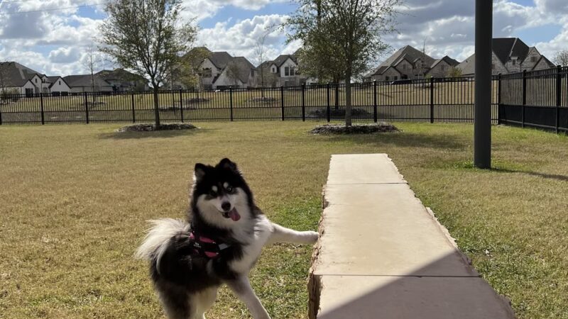 Elyson Dog Park - Katy, TX