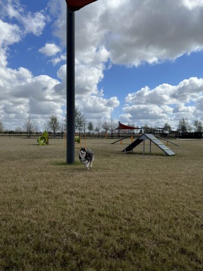 Elyson Dog Park - Katy, TX