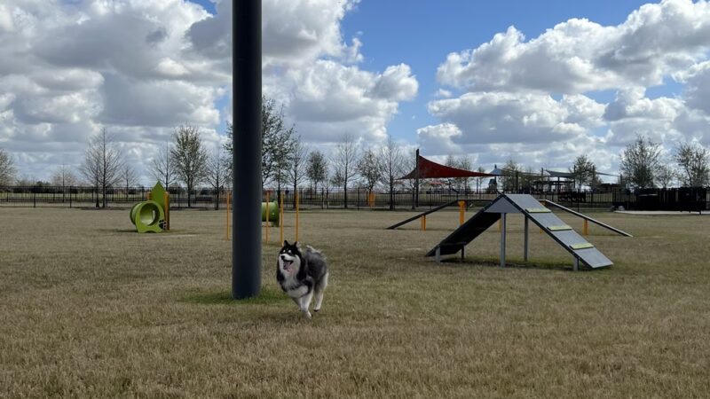 Elyson Dog Park - Katy, TX