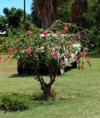 Duke Maliu Regional Park - Kaunakakai, HI
