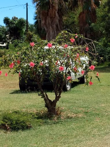 Duke Maliu Regional Park - Kaunakakai, HI