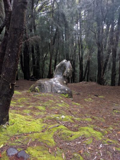 Duke Maliu Regional Park - Kaunakakai, HI