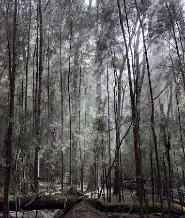 Duke Maliu Regional Park - Kaunakakai, HI
