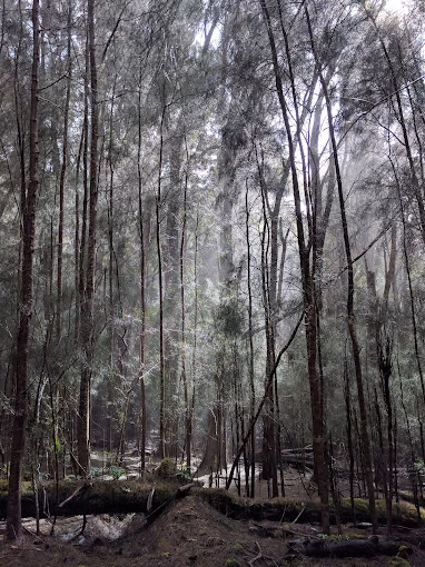 Duke Maliu Regional Park - Kaunakakai, HI