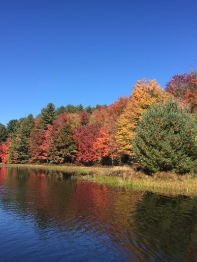 Kauneonga Lake - Kauneonga Lake, NY