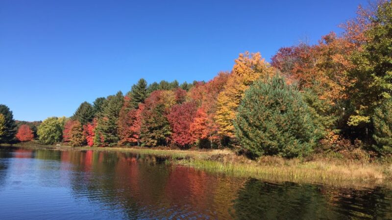 Kauneonga Lake - Kauneonga Lake, NY
