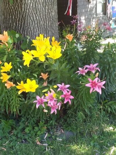 Holmdahl Park - Kellogg, IA