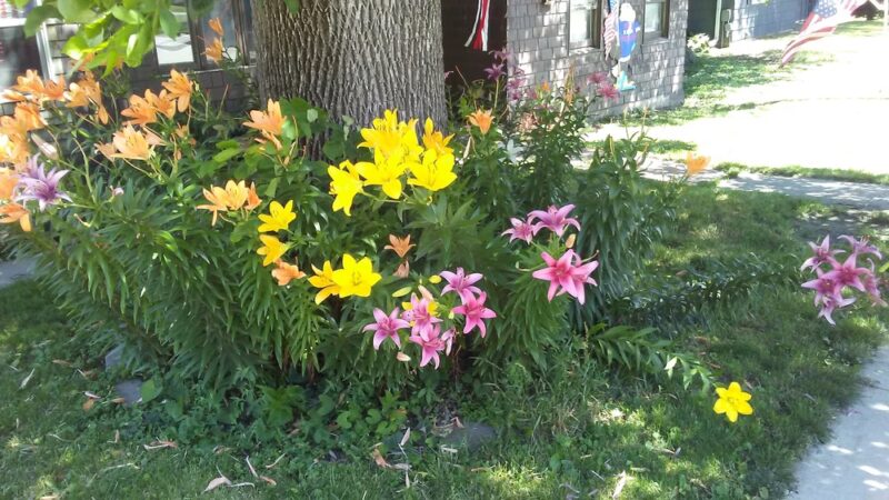 Holmdahl Park - Kellogg, IA