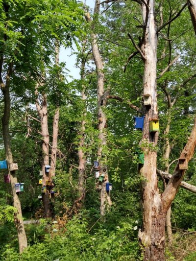 Mariposa County Park - Kellogg, IA