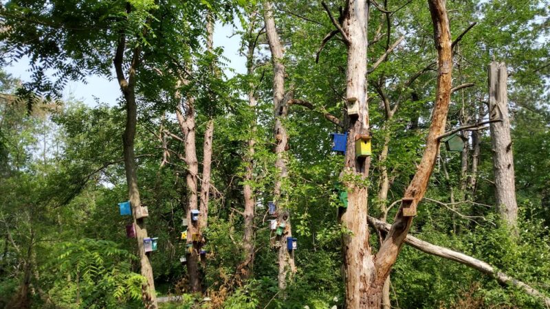 Mariposa County Park - Kellogg, IA