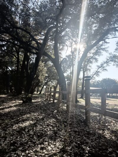Sylvia Tucker Memorial Park - Kempner, TX