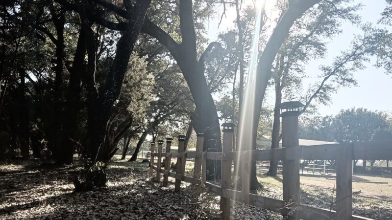 Sylvia Tucker Memorial Park - Kempner, TX
