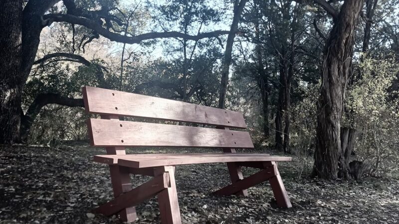 Sylvia Tucker Memorial Park - Kempner, TX