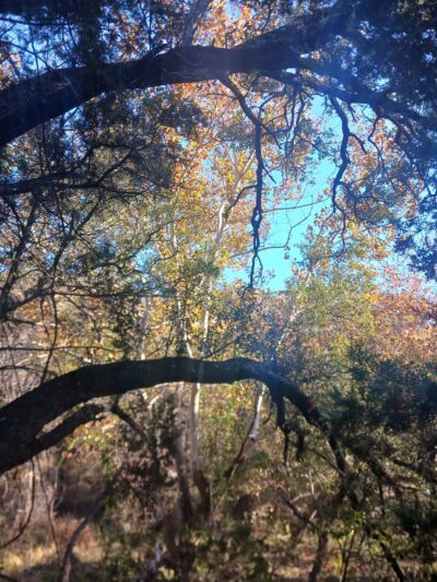 Sylvia Tucker Memorial Park - Kempner, TX