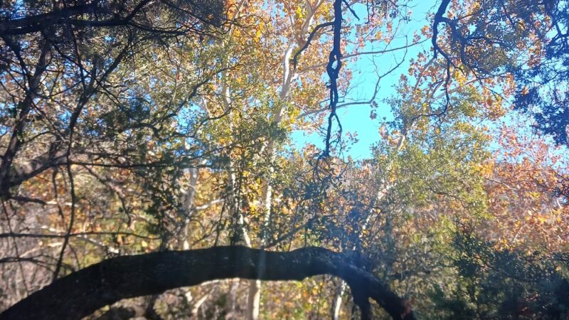 Sylvia Tucker Memorial Park - Kempner, TX