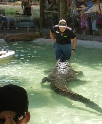 Wild Florida Airboats & Gator Park - Kenansville, FL