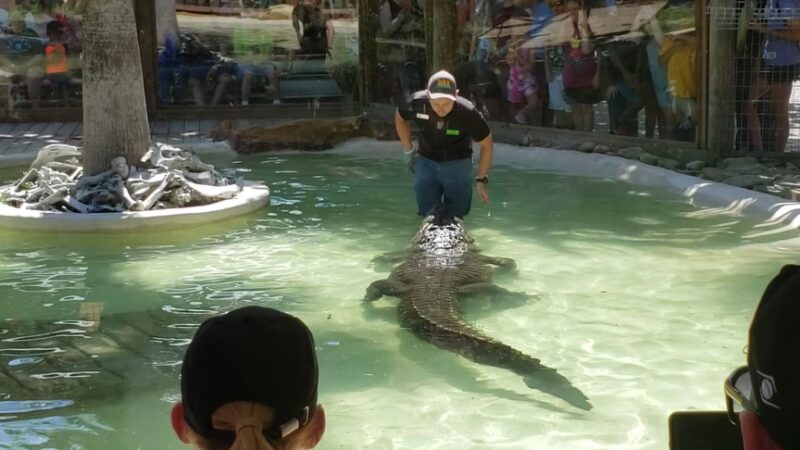 Wild Florida Airboats & Gator Park - Kenansville, FL