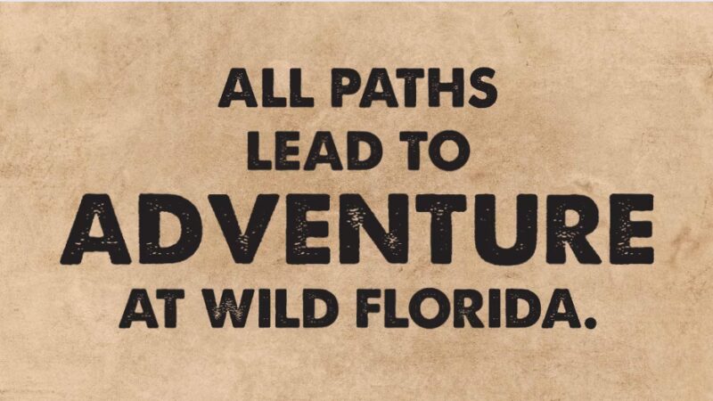 Wild Florida Drive-thru Safari Park - Kenansville, FL