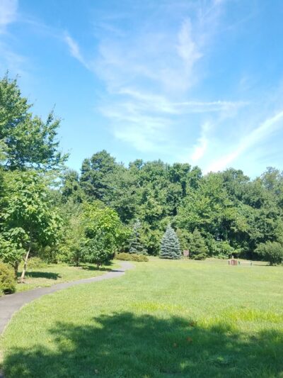 Beechwoods Park - Kendall Park, NJ