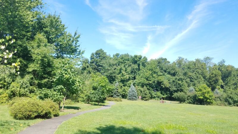 Beechwoods Park - Kendall Park, NJ