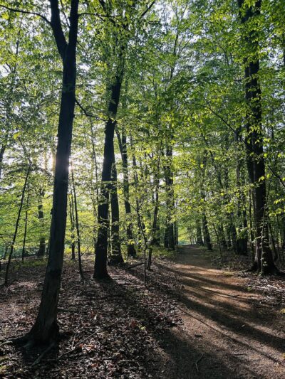 Beechwoods Park - Kendall Park, NJ