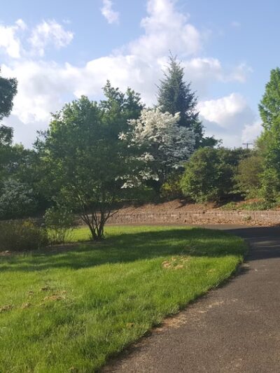 Veterans Park - Kendall Park, NJ