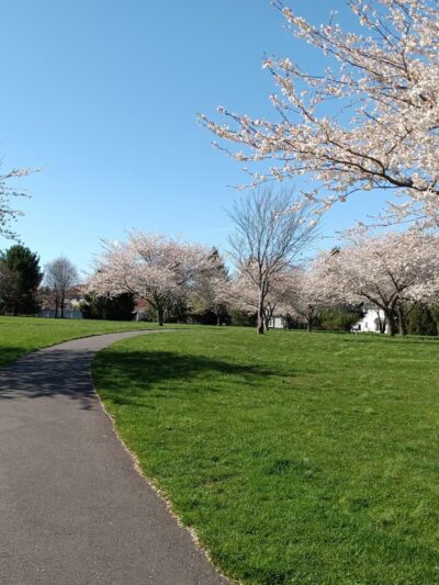 Veterans Park - Kendall Park, NJ