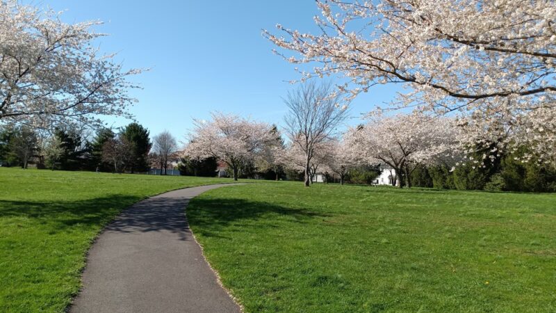Veterans Park - Kendall Park, NJ
