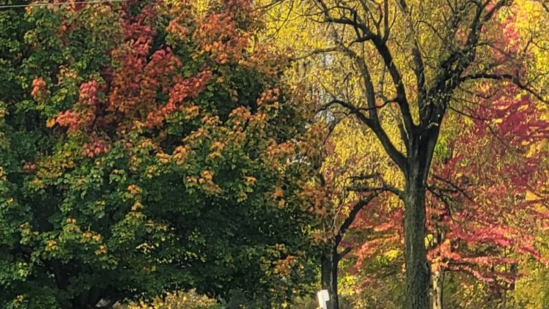 Bixler Lake Park - Kendallville, IN