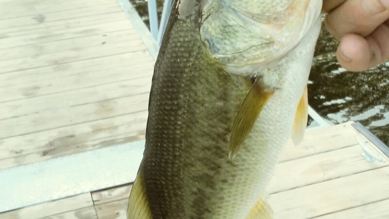 Bixler Lake Public Access Boat Launch - Kendallville, IN